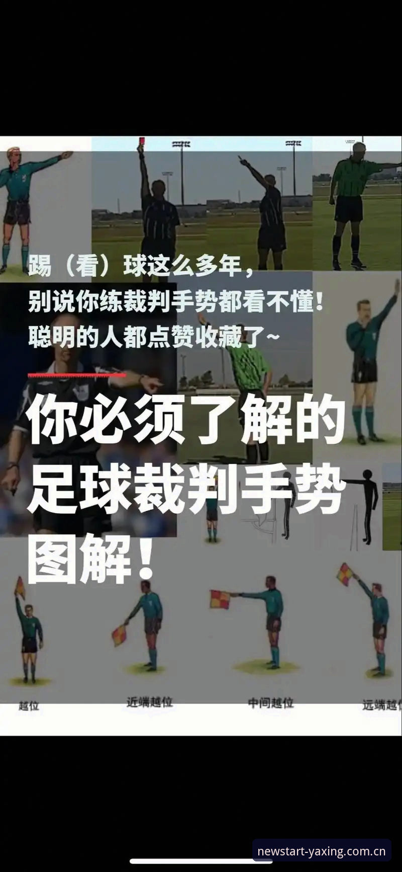 中泰之战裁判规则解读：在亚星体育平台看球前必知的操作教程